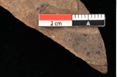 Foto (Detailansicht) von Widdringtonia ungeri Endl. (NHMW-GEO-2024-0188-0125)